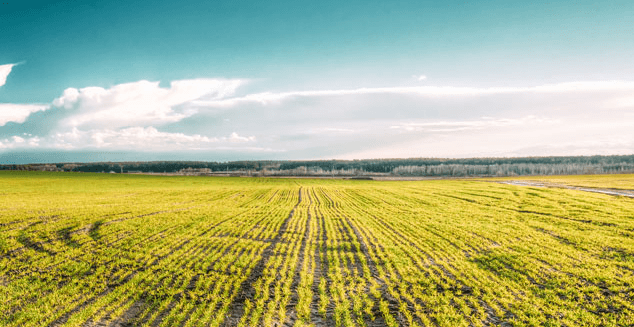 Waters of the US - Water Treatment Process