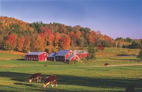 Clean Water, Healthy Farms - Water Treatment Systems