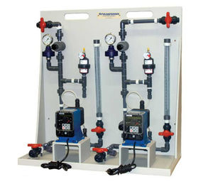 Chemical feed pumps on skid