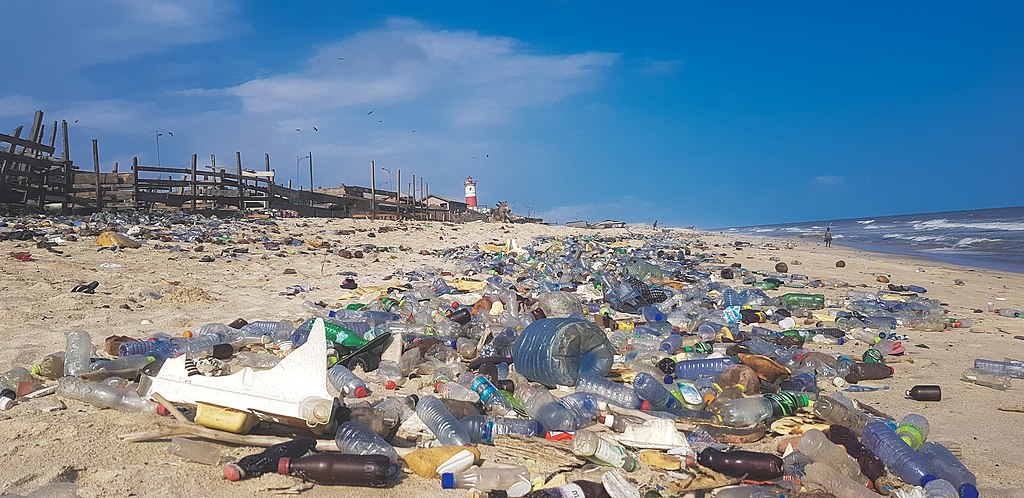 Plastic Water Bottle Waste in Ocean